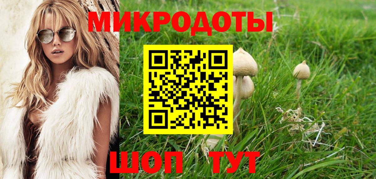 Псилоцибиновые грибы Psilocybine cubensis  Вход с VPN  Знаменск 