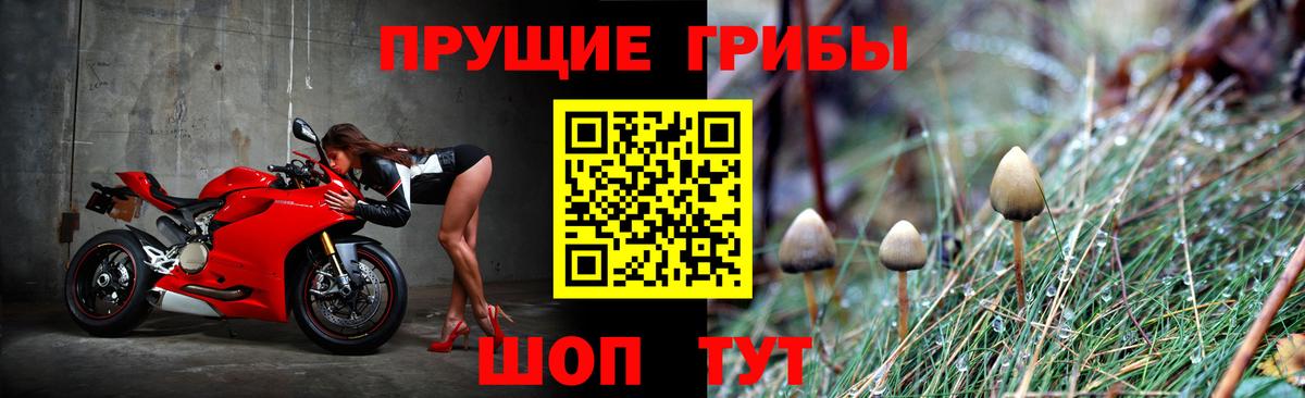 Галлюциногенные грибы ЛСД Знаменск